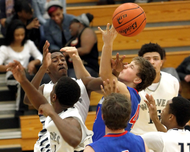 Grey Wolves feast on Panthers